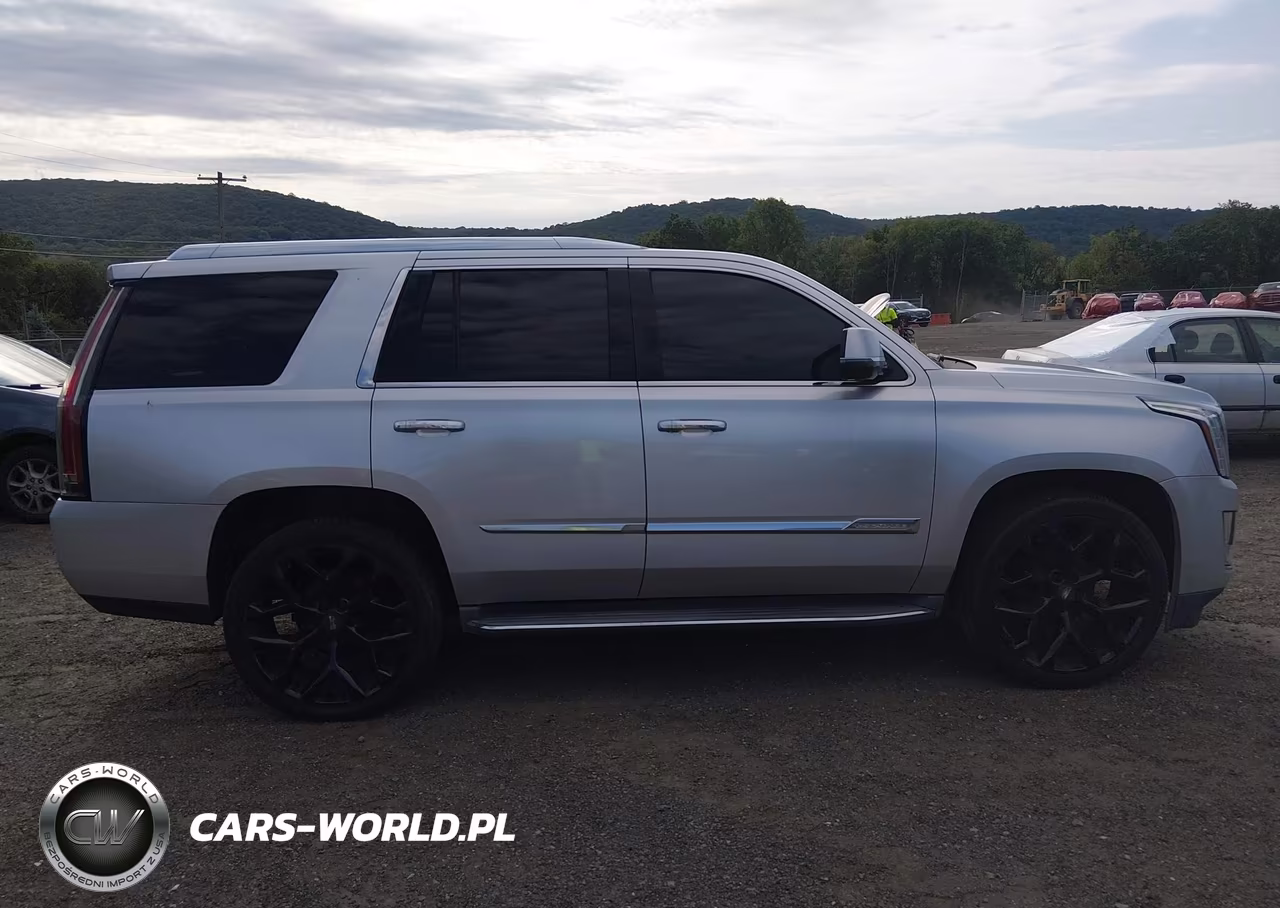 2015 Cadillac Escalade Luxury VIN:1GYS4MKJ3FR665466 - 14