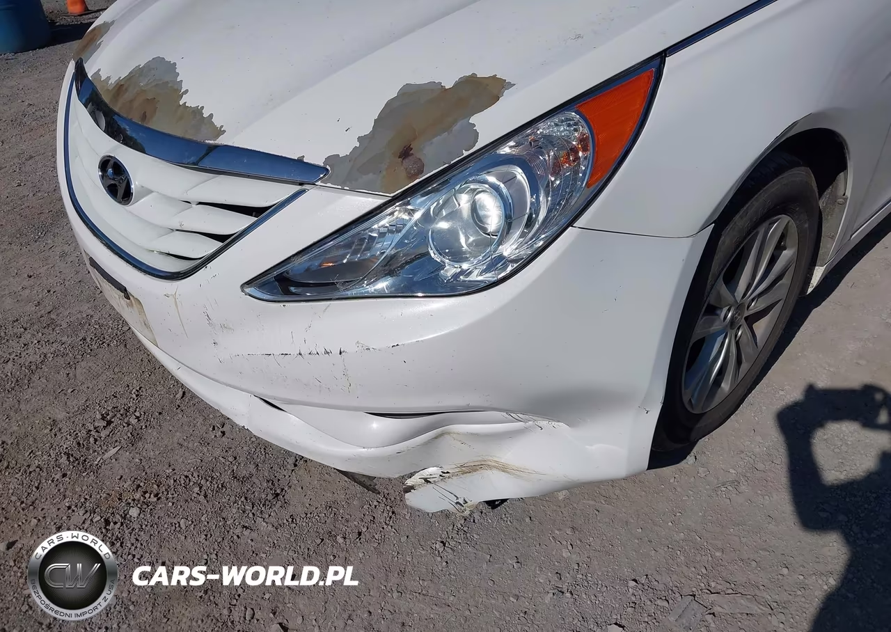 2011 Hyundai Sonata Gls VIN:5NPEB4AC0BH130477 - 6