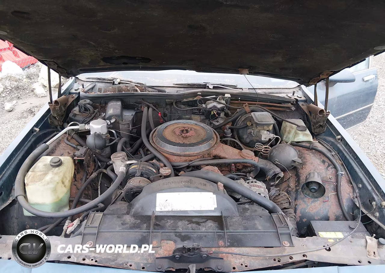 1990 Chevrolet Caprice Classic VIN:1G1BN84Y0LR110273 - 10