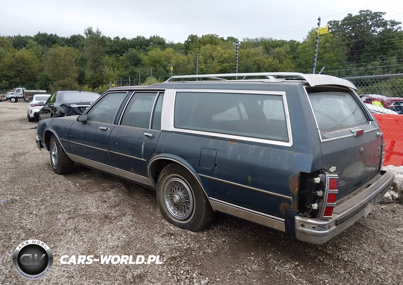 1990 Chevrolet Caprice Classic VIN:1G1BN84Y0LR110273 - 3