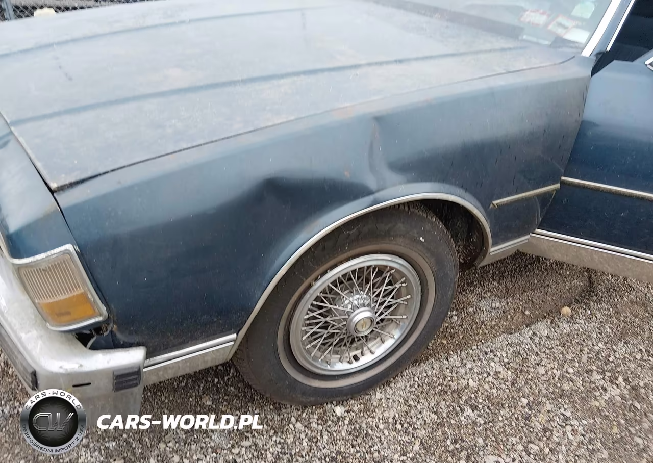 1990 Chevrolet Caprice Classic VIN:1G1BN84Y0LR110273 - 6