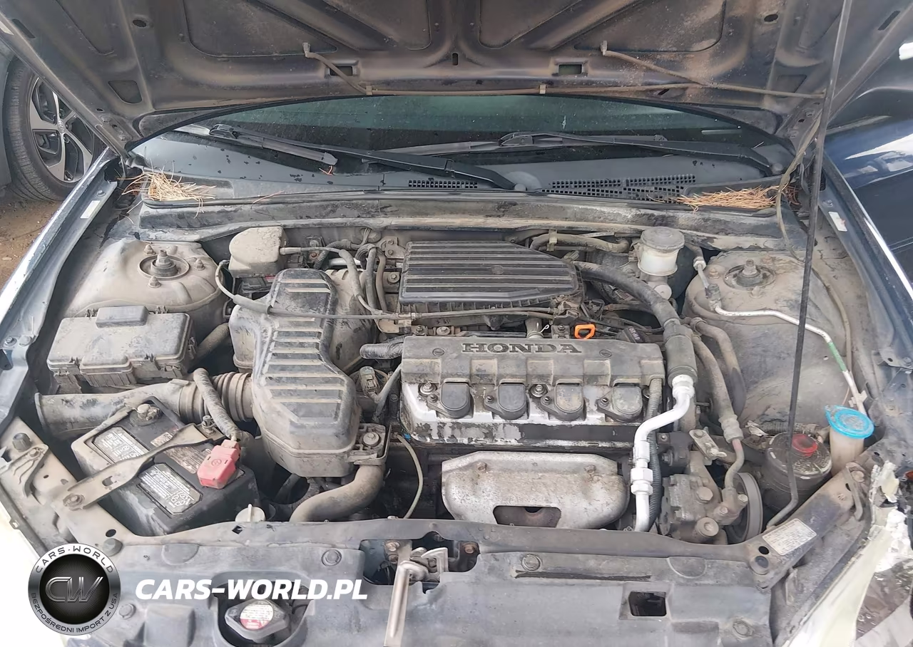 2004 Honda Civic Lx VIN:2HGES16594H513033 - 10