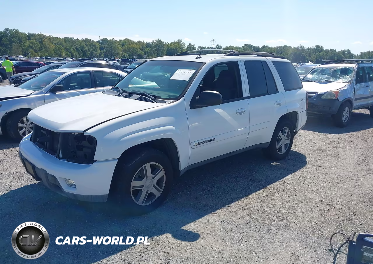 2004 Chevrolet Trailblazer Lt VIN:1GNDT13S642180629 - 2