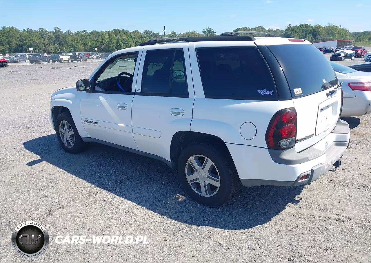 2004 Chevrolet Trailblazer Lt VIN:1GNDT13S642180629 - 3