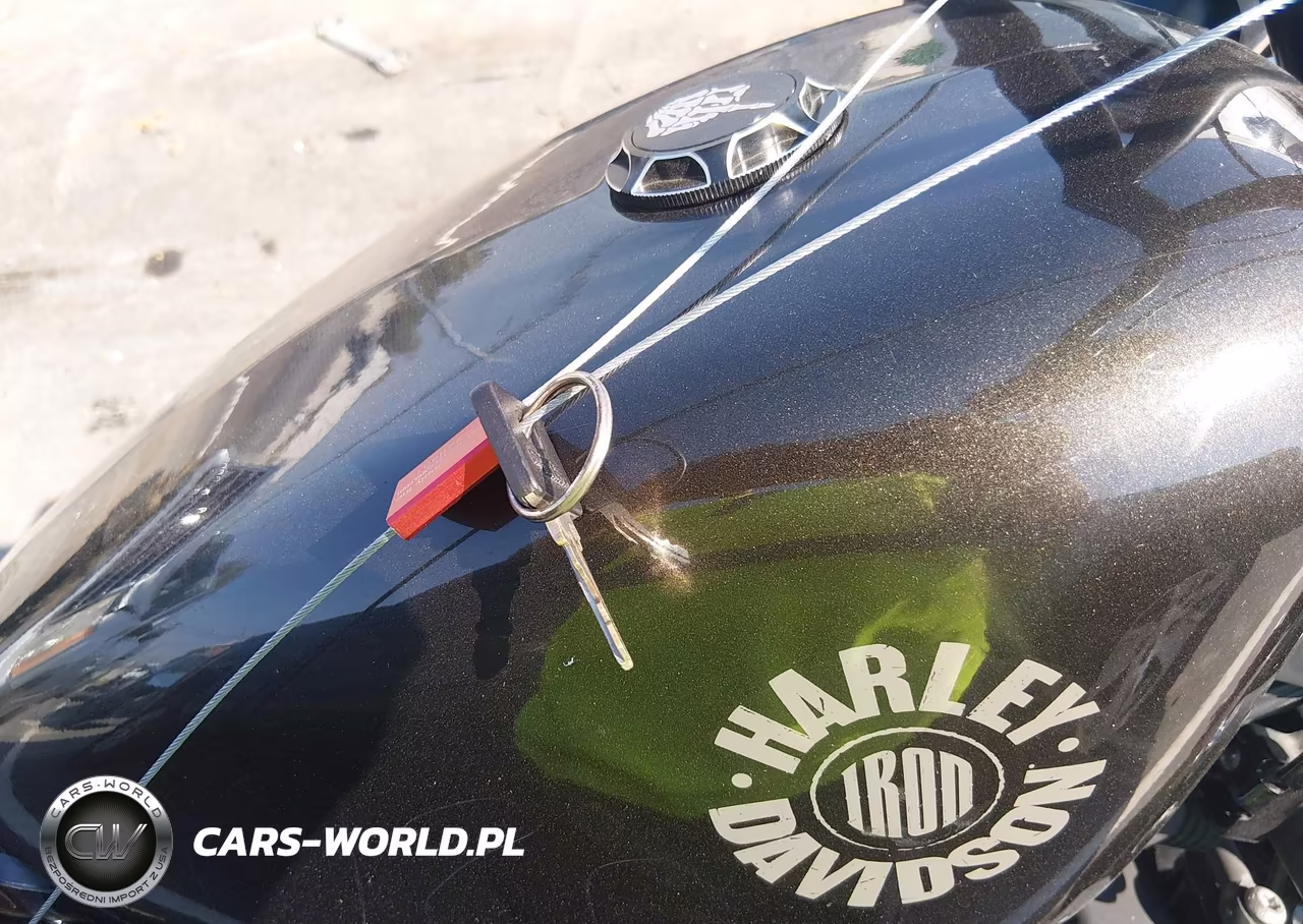 2020 Harley-Davidson Xl883 N VIN:1HD4LE219LB429169 - 11