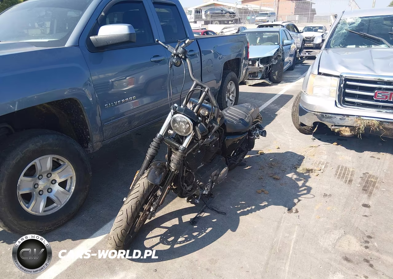 2020 Harley-Davidson Xl883 N VIN:1HD4LE219LB429169 - 2