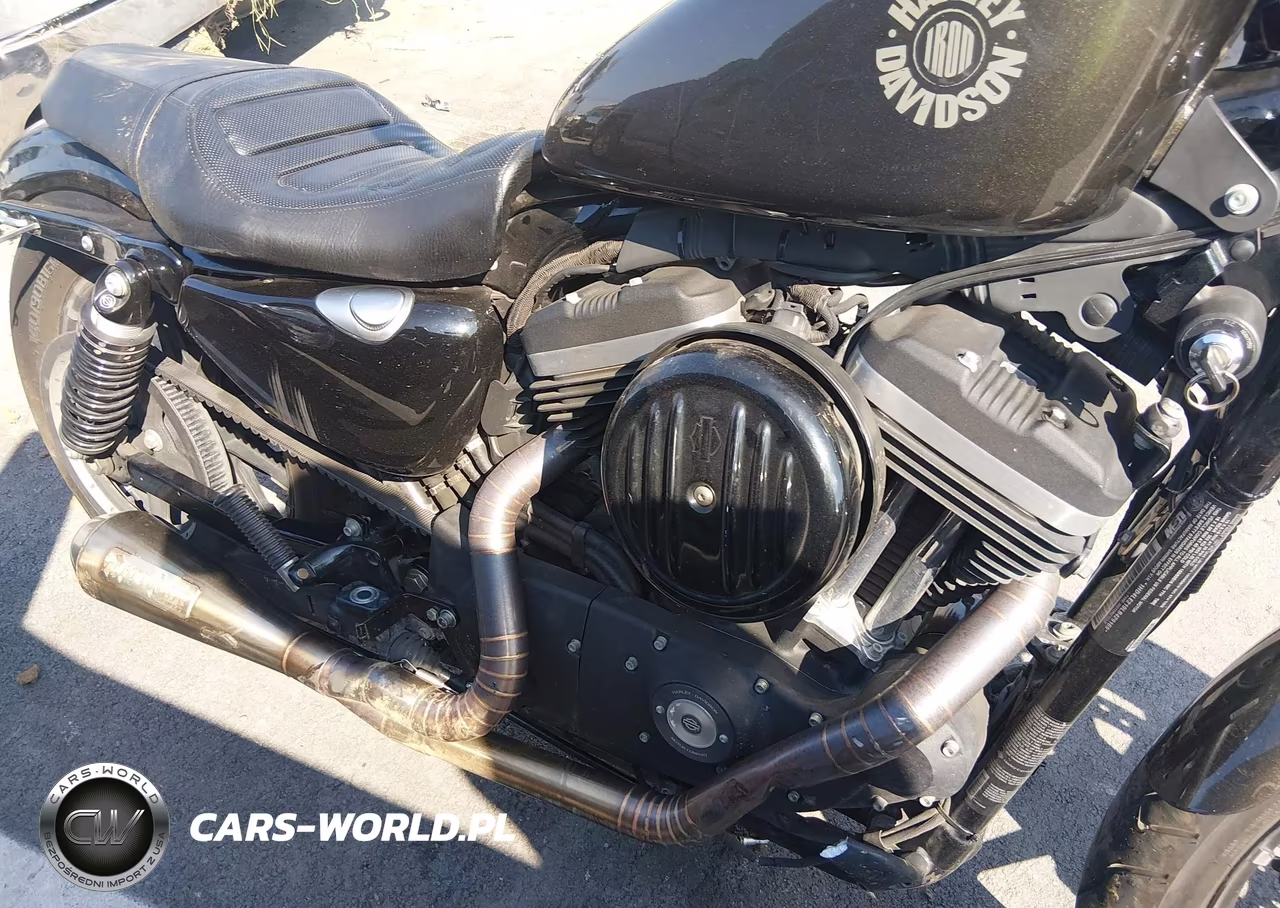 2020 Harley-Davidson Xl883 N VIN:1HD4LE219LB429169 - 8