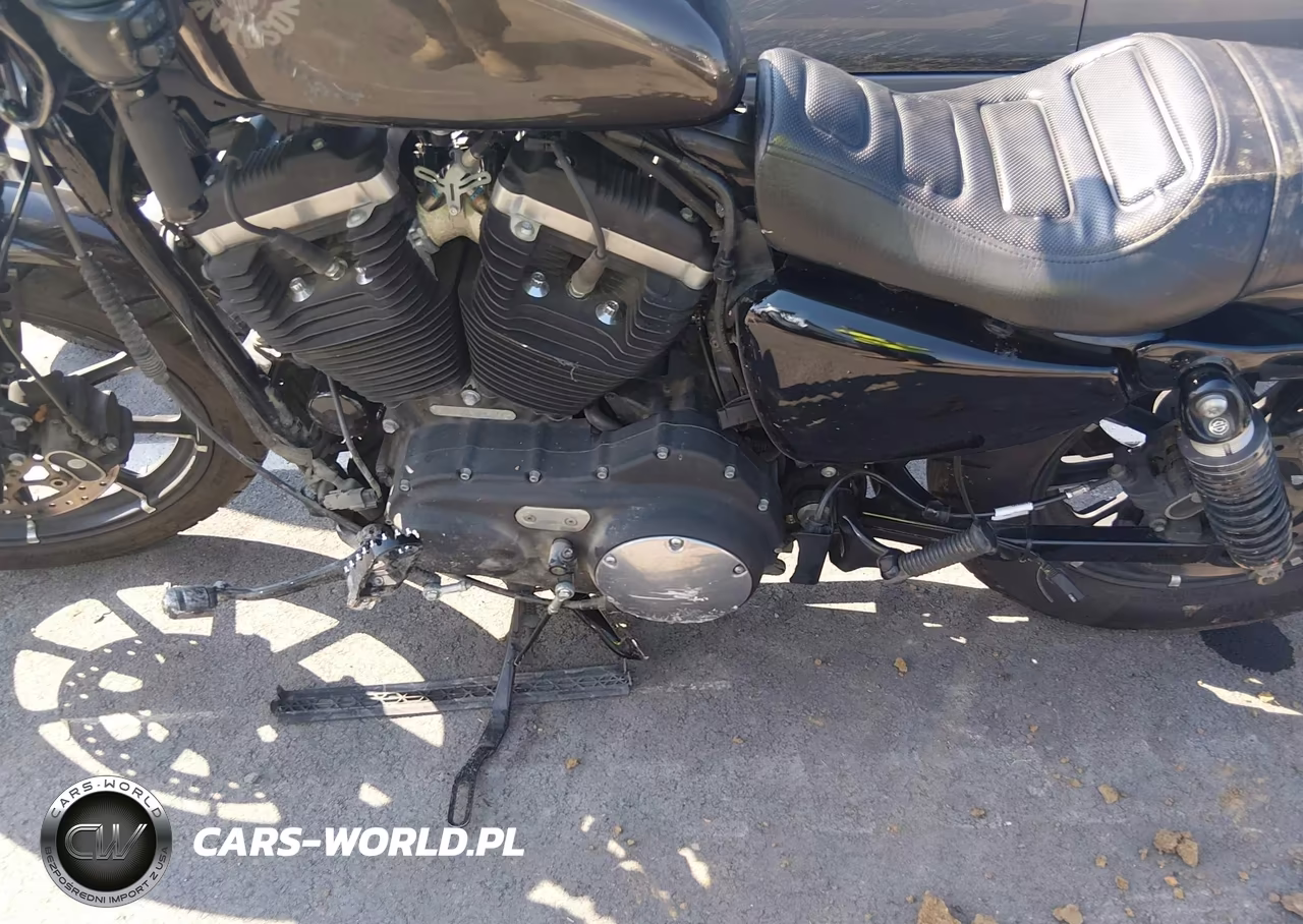 2020 Harley-Davidson Xl883 N VIN:1HD4LE219LB429169 - 9