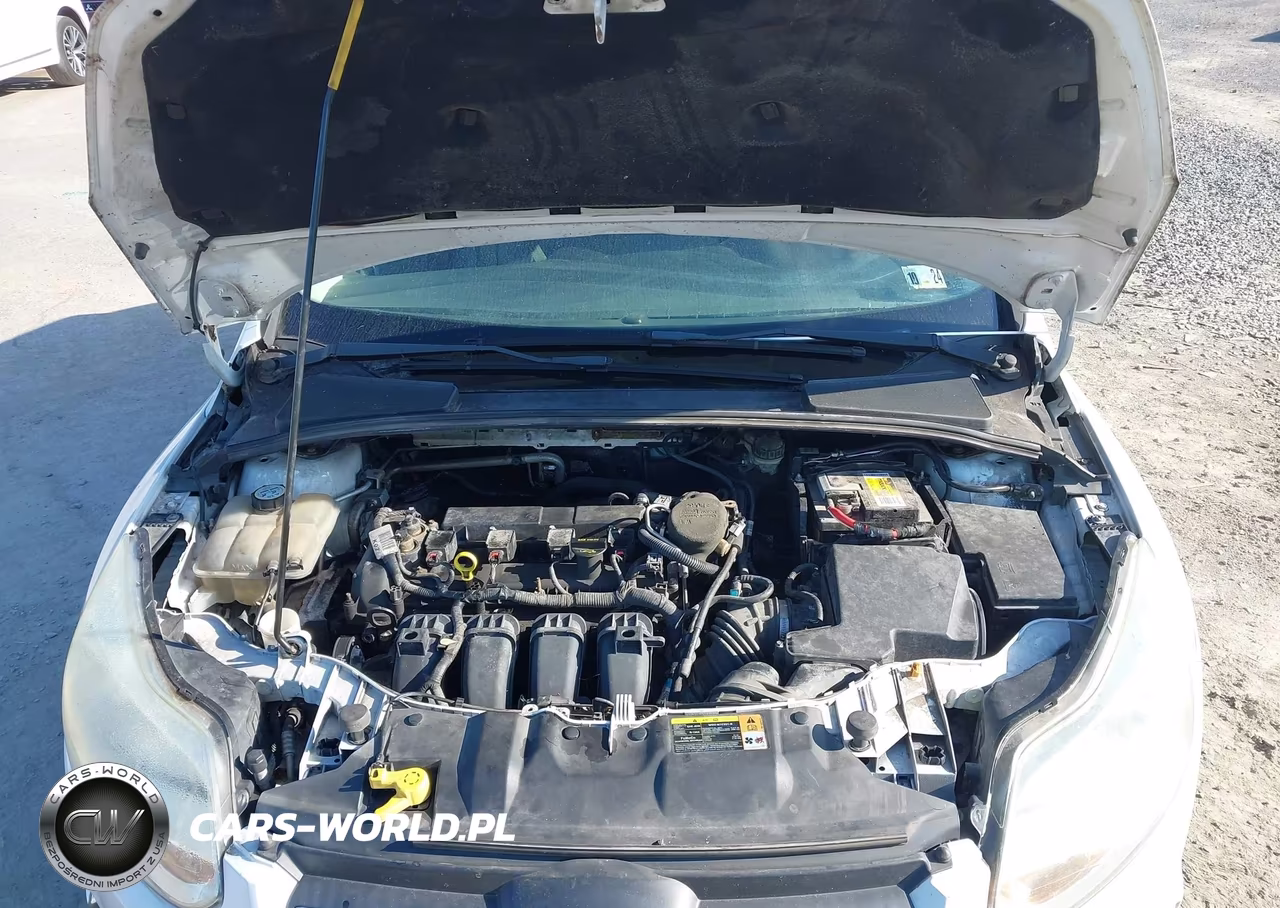 2013 Ford Focus Se VIN:1FADP3K27DL271788 - 10
