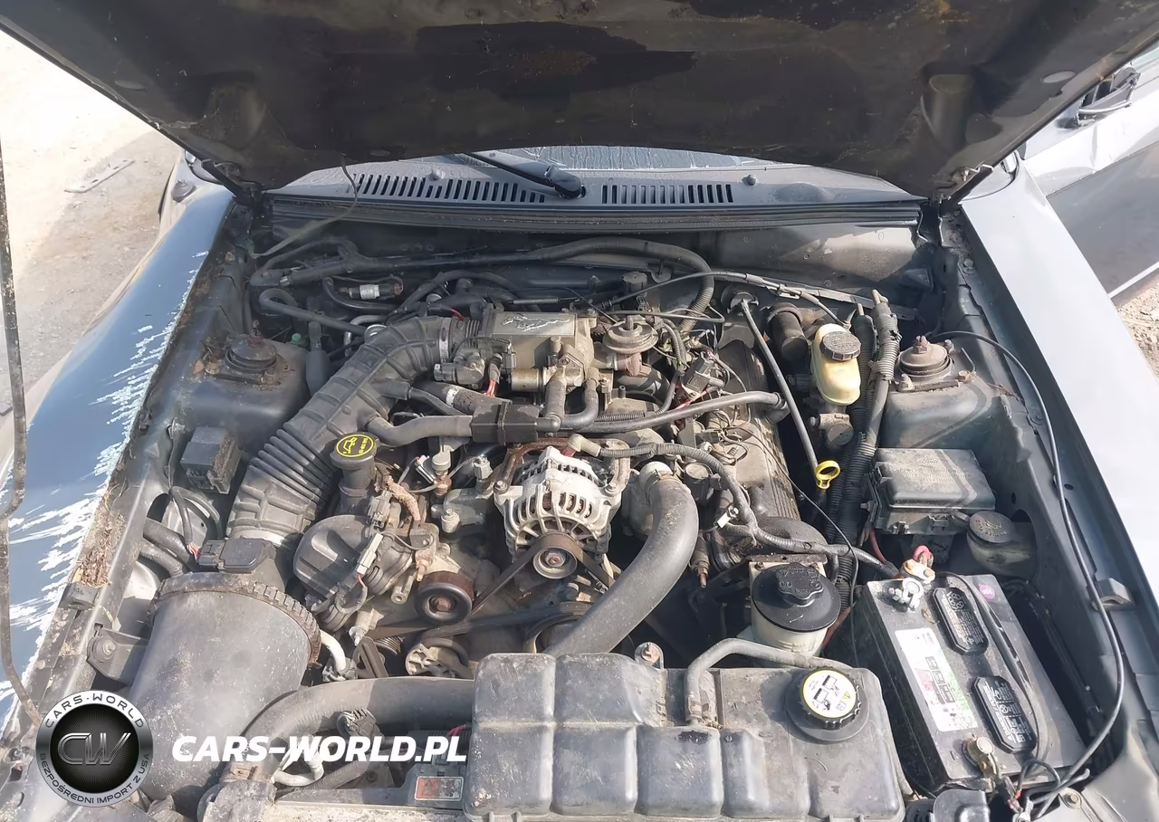 2004 Ford Mustang Gt VIN:1FAFP42X44F193110 - 10