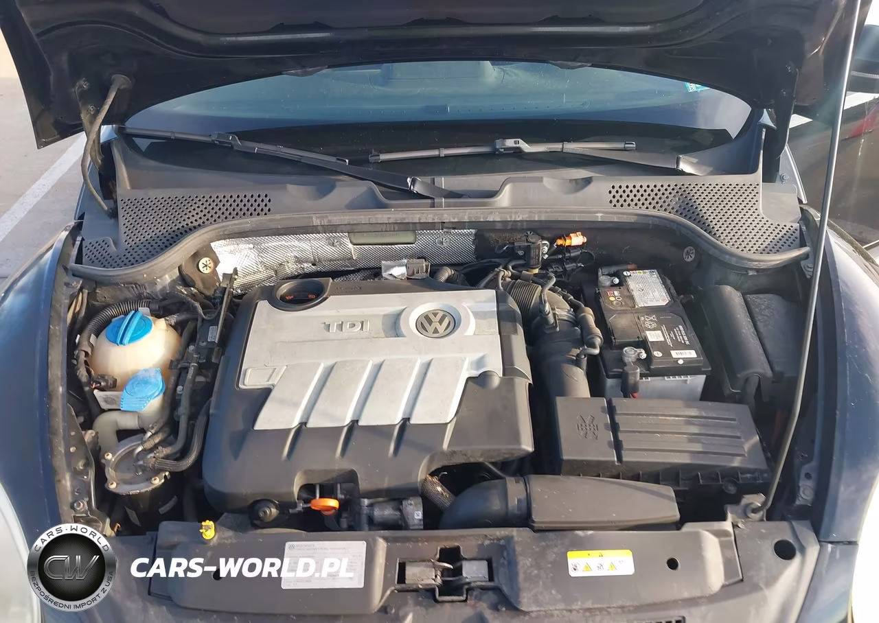 2013 Volkswagen Beetle 2.0L Tdi VIN:3VWJL7AT6DM693914 - 10