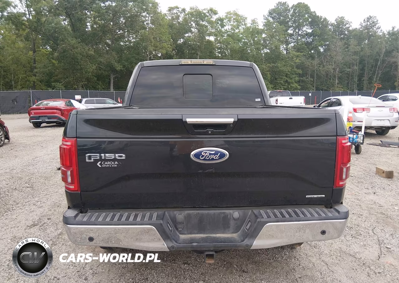 2015 Ford F-150 Lariat VIN:1FTEW1EF0FKD19886 - 16