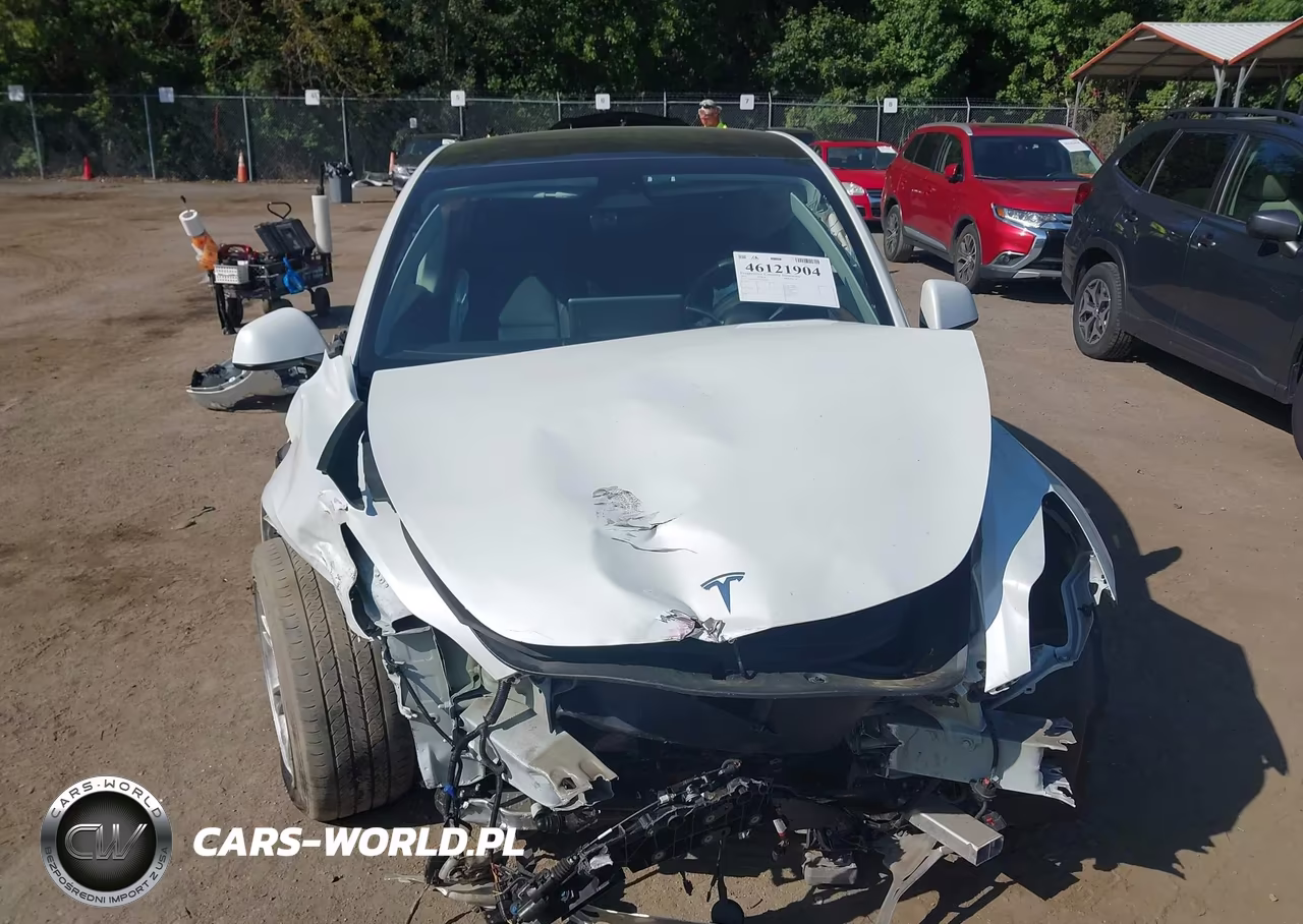 2023 Tesla Model Y VIN:7SAYGDEE5PF663606 - 10