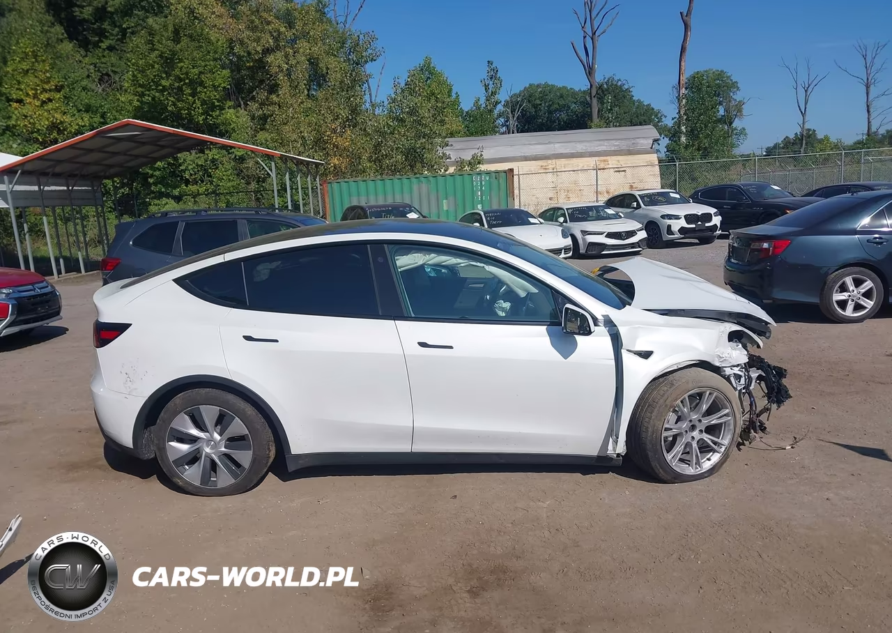 2023 Tesla Model Y VIN:7SAYGDEE5PF663606 - 11