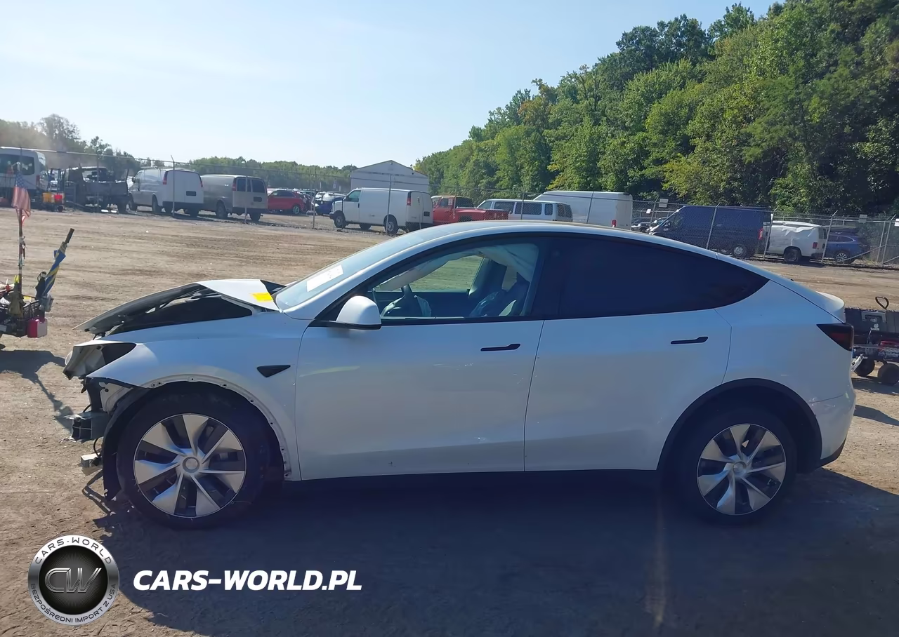 2023 Tesla Model Y VIN:7SAYGDEE5PF663606 - 12