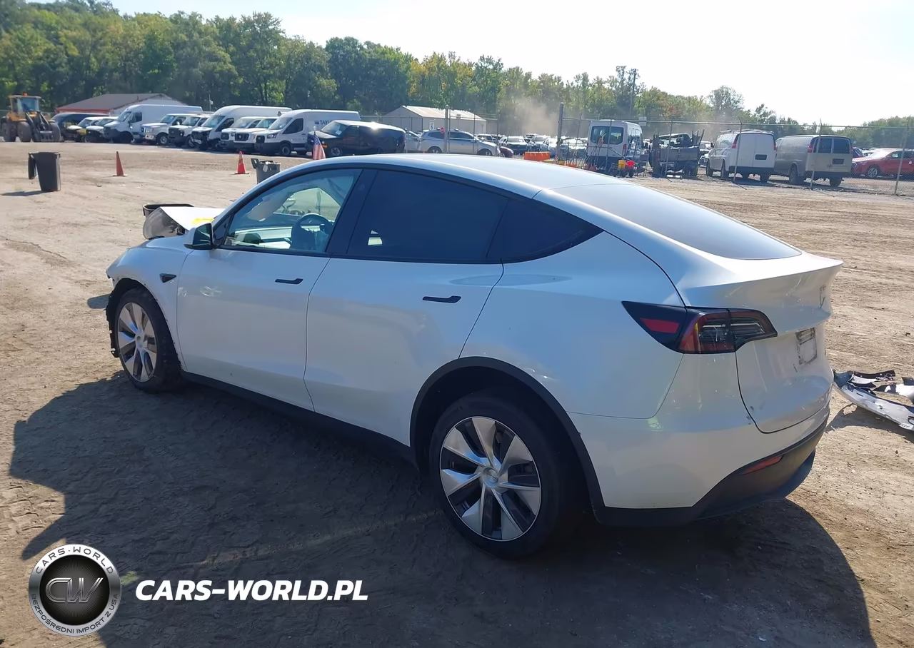 2023 Tesla Model Y VIN:7SAYGDEE5PF663606 - 3