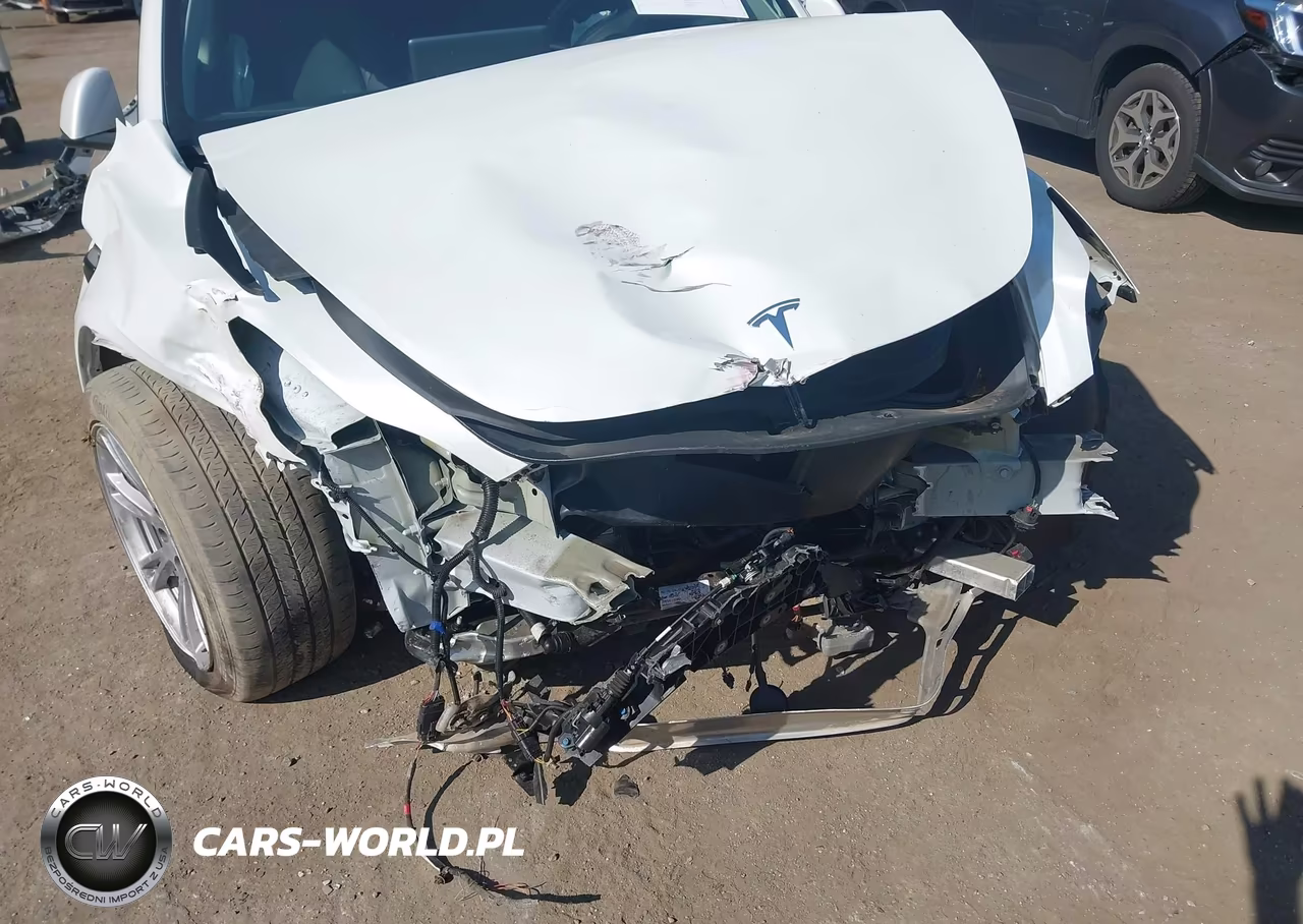 2023 Tesla Model Y VIN:7SAYGDEE5PF663606 - 6