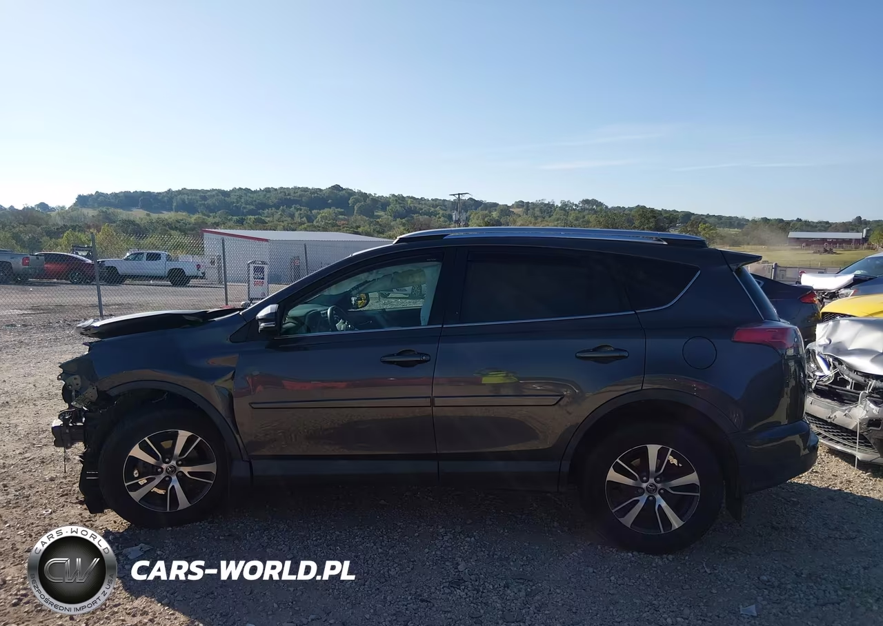 2016 Toyota Rav4 Xle VIN:2T3RFREV2GW454674 - 15