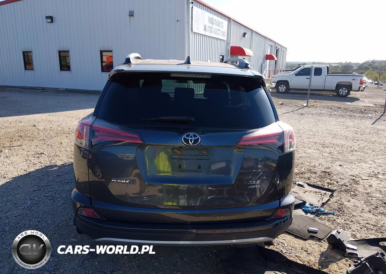 2016 Toyota Rav4 Xle VIN:2T3RFREV2GW454674 - 17