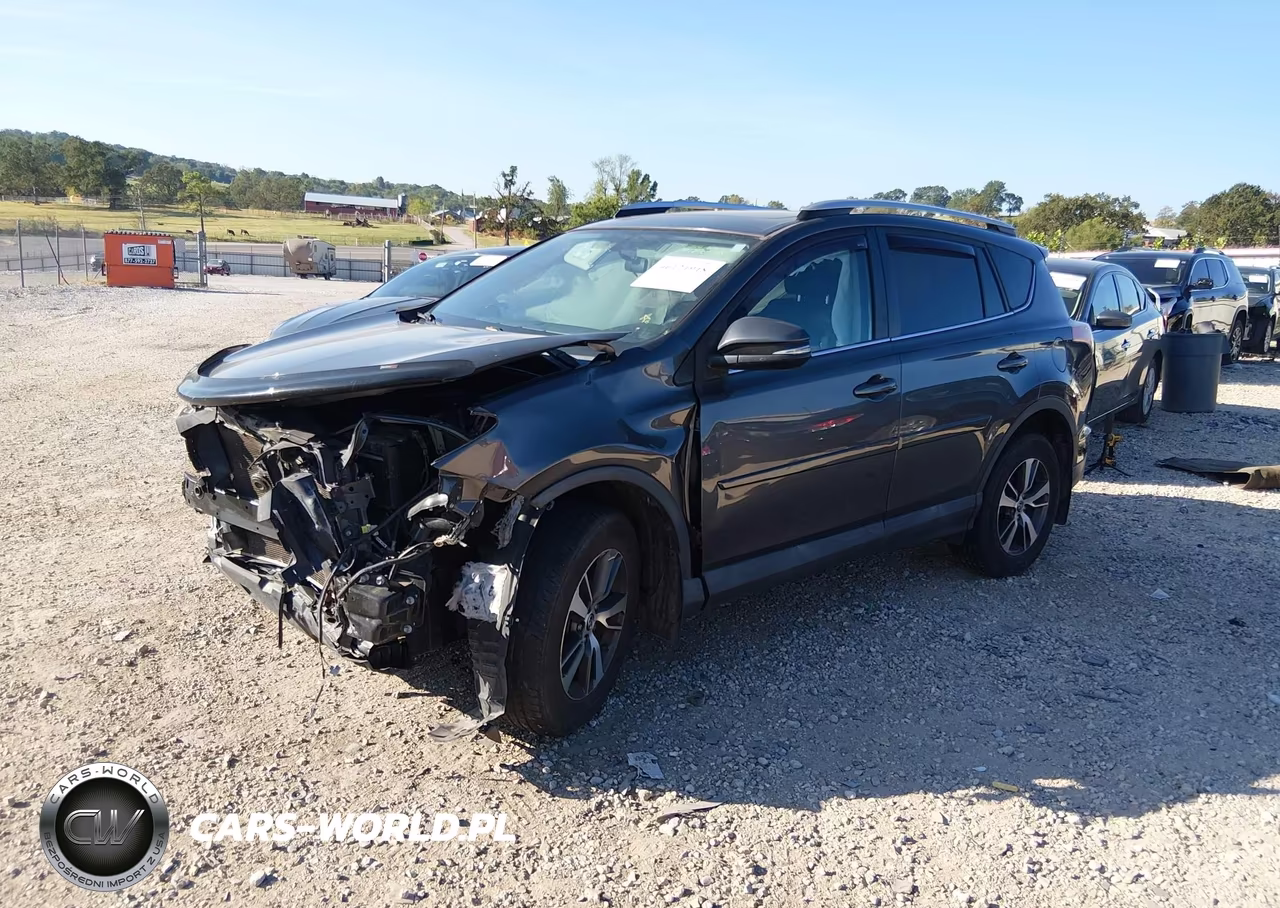 2016 Toyota Rav4 Xle VIN:2T3RFREV2GW454674 - 2
