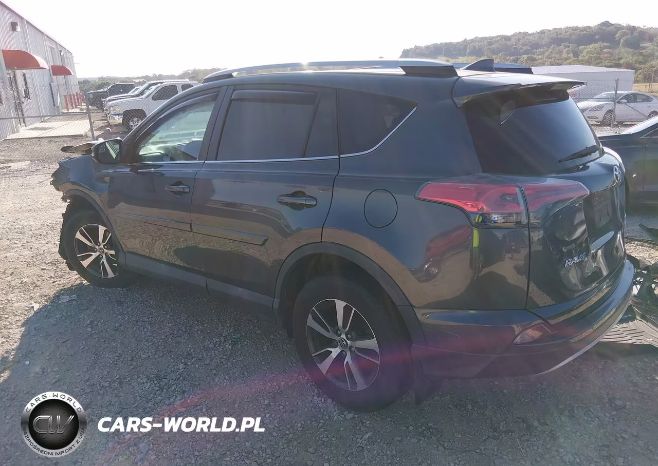 2016 Toyota Rav4 Xle VIN:2T3RFREV2GW454674 - 3