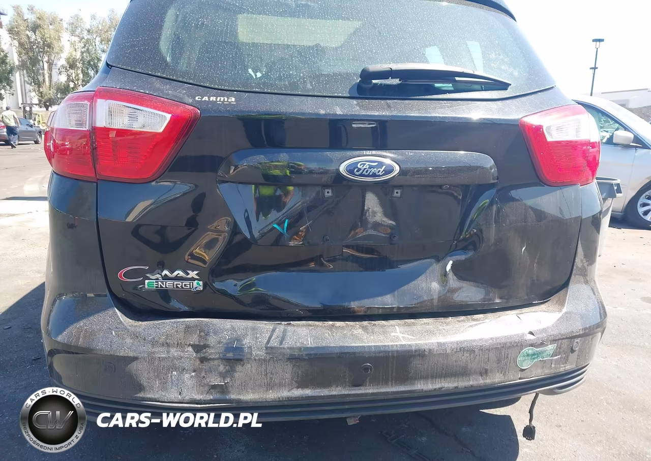 2013 Ford C-Max Energi Sel VIN:1FADP5CU3DL533205 - 6