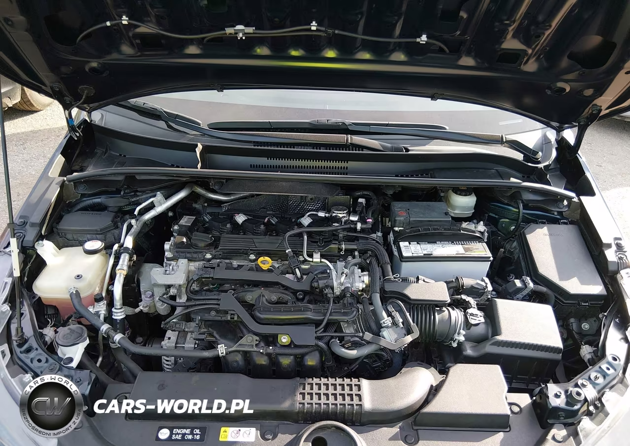 2019 Toyota Corolla Se VIN:JTNK4RBE9K3026331 - 10