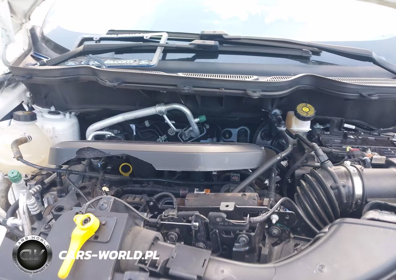2020 Ford Ecosport Se VIN:MAJ6S3GL1LC391769 - 10
