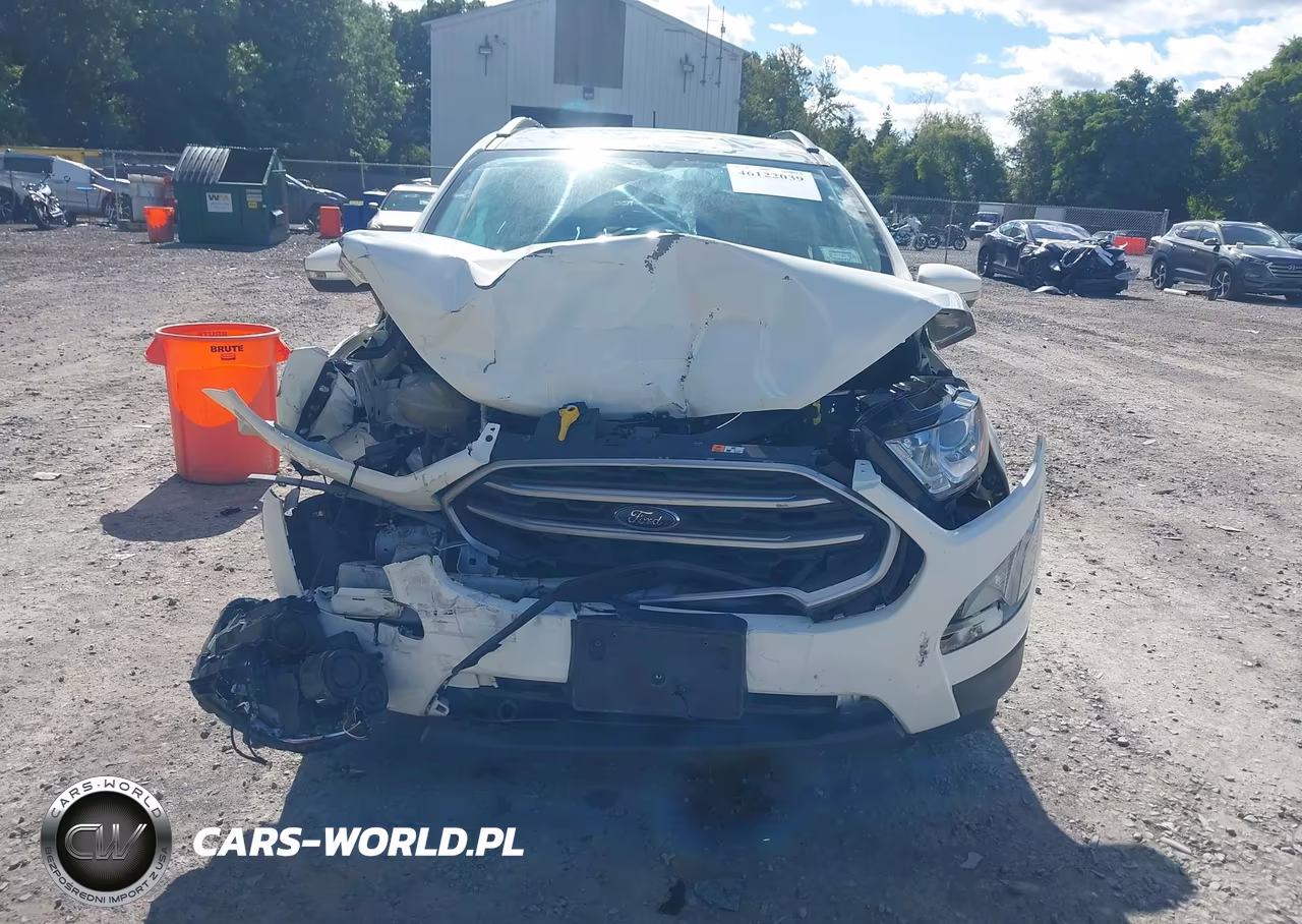 2020 Ford Ecosport Se VIN:MAJ6S3GL1LC391769 - 12