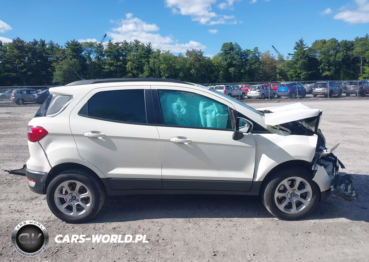 2020 Ford Ecosport Se VIN:MAJ6S3GL1LC391769 - 13