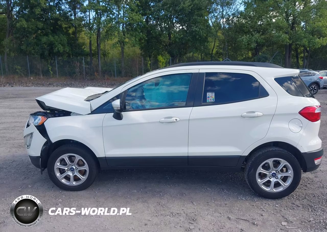 2020 Ford Ecosport Se VIN:MAJ6S3GL1LC391769 - 14