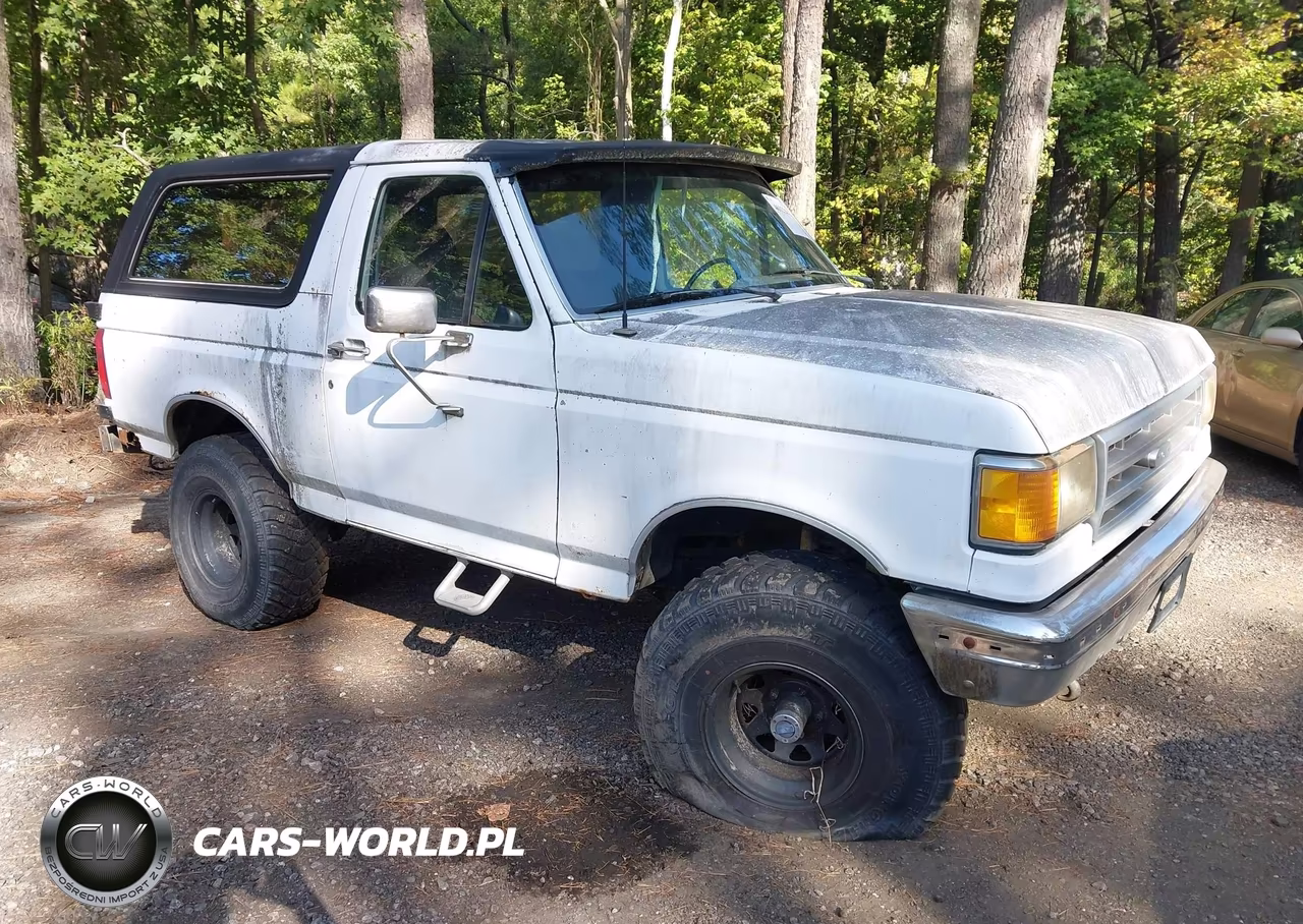 1989 Ford Bronco U100 VIN:1FMEU15N2KLA89961 - 1