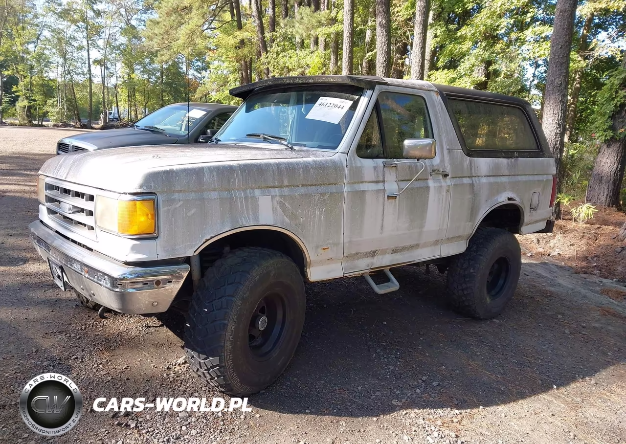 1989 Ford Bronco U100 VIN:1FMEU15N2KLA89961 - 2