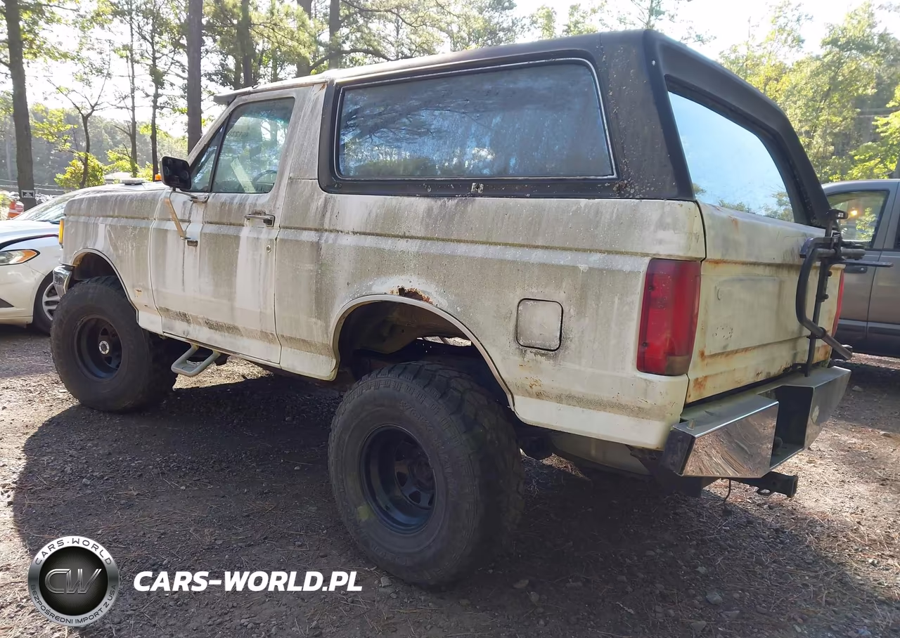 1989 Ford Bronco U100 VIN:1FMEU15N2KLA89961 - 3