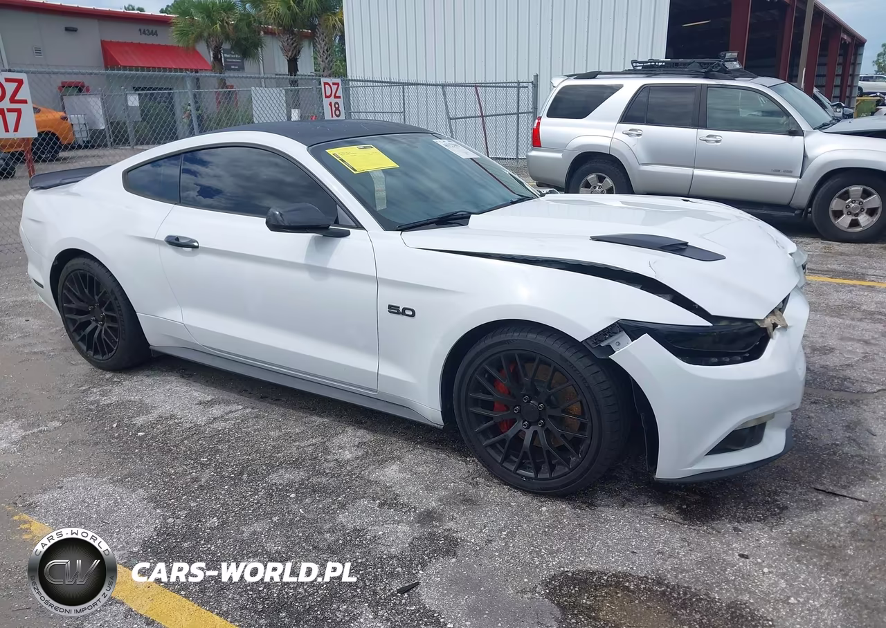 2015 Ford Mustang Gt-Gt Premium VIN:1FA6P8CF5F5423579 - 1