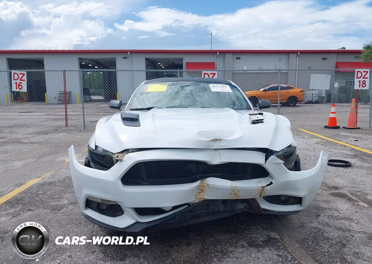 2015 Ford Mustang Gt-Gt Premium VIN:1FA6P8CF5F5423579 - 12
