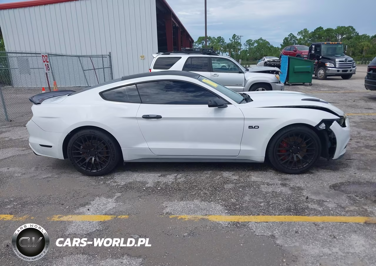 2015 Ford Mustang Gt-Gt Premium VIN:1FA6P8CF5F5423579 - 13