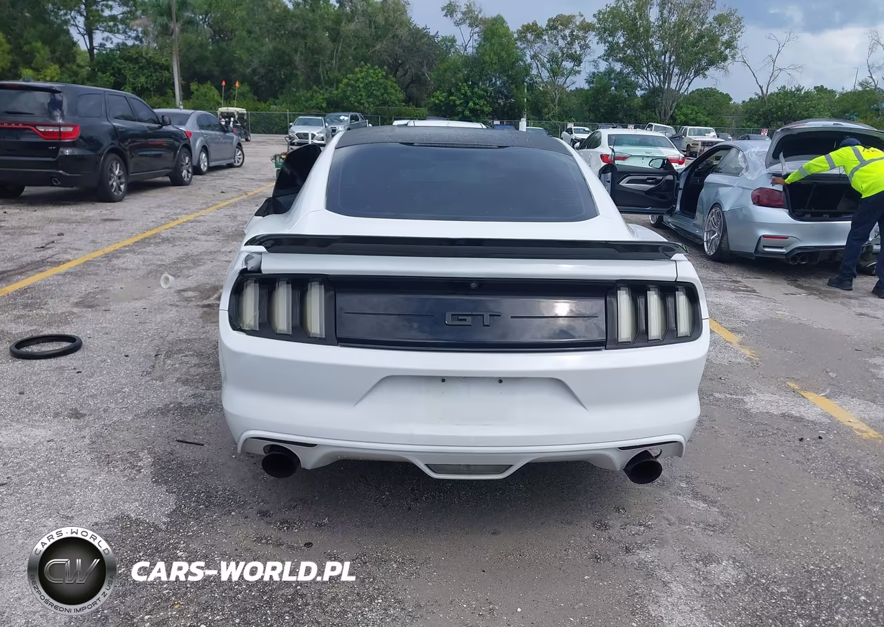 2015 Ford Mustang Gt-Gt Premium VIN:1FA6P8CF5F5423579 - 16