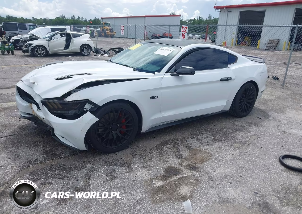 2015 Ford Mustang Gt-Gt Premium VIN:1FA6P8CF5F5423579 - 2