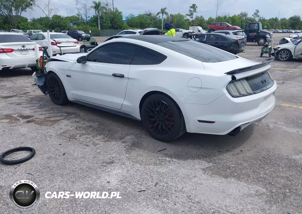 2015 Ford Mustang Gt-Gt Premium VIN:1FA6P8CF5F5423579 - 3