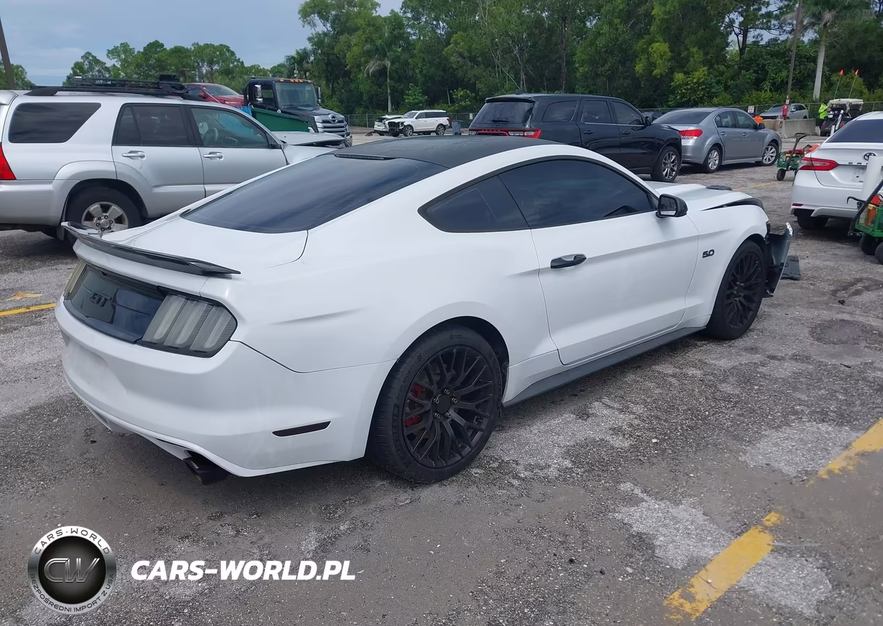 2015 Ford Mustang Gt-Gt Premium VIN:1FA6P8CF5F5423579 - 4