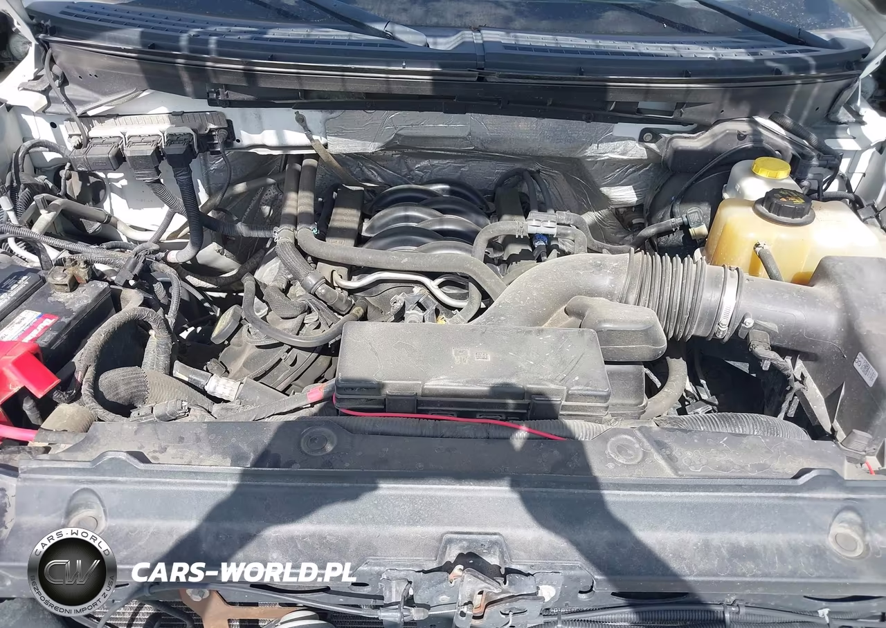 2014 Ford F-150 Xlt VIN:1FTFW1EFXEFC78419 - 10