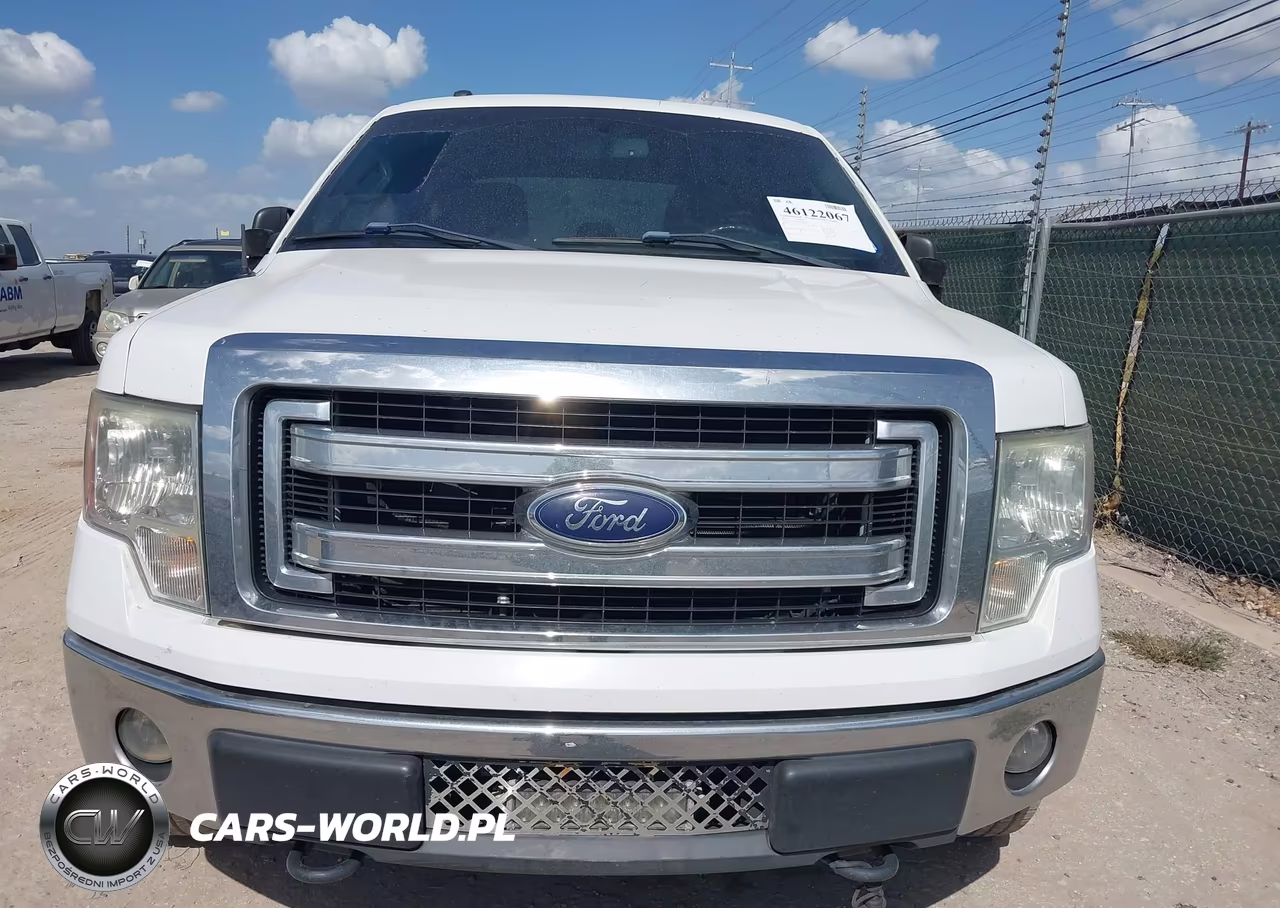 2014 Ford F-150 Xlt VIN:1FTFW1EFXEFC78419 - 12