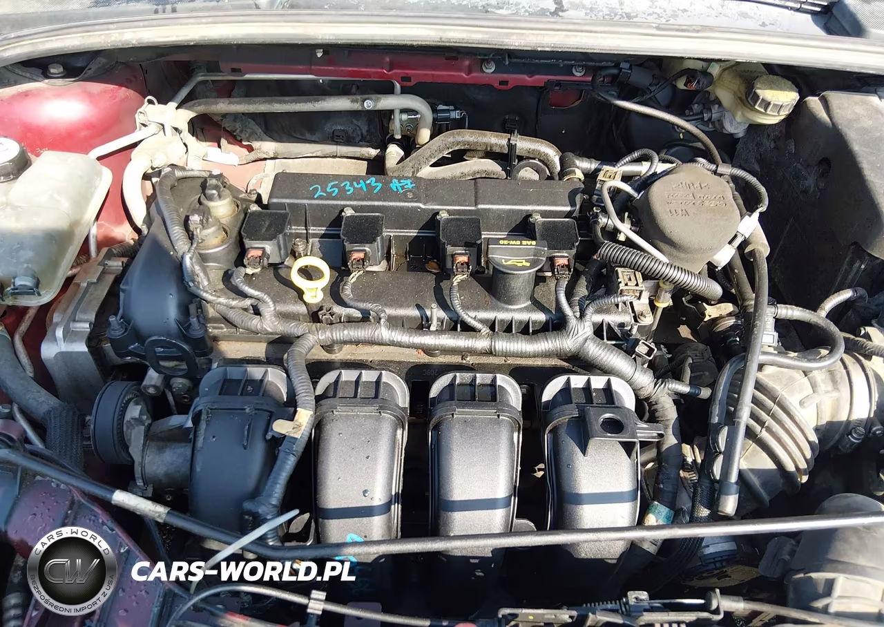 2013 Ford Focus Se VIN:1FADP3F2XDL318919 - 10
