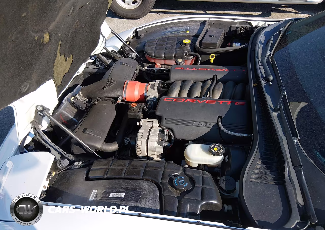 1999 Chevrolet Corvette VIN:1G1YY22G1X5126455 - 10