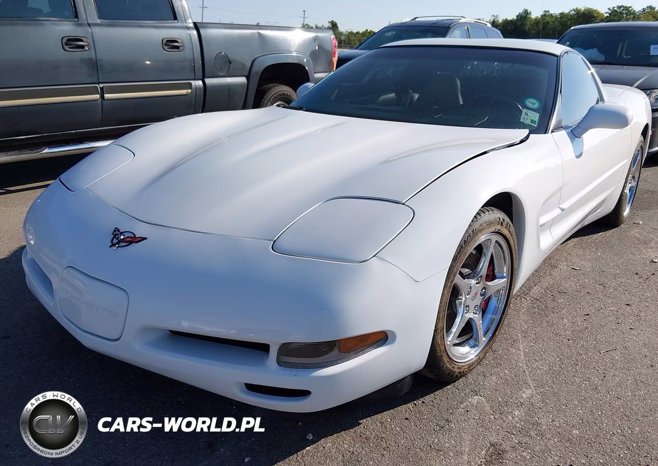 1999 Chevrolet Corvette VIN:1G1YY22G1X5126455 - 2