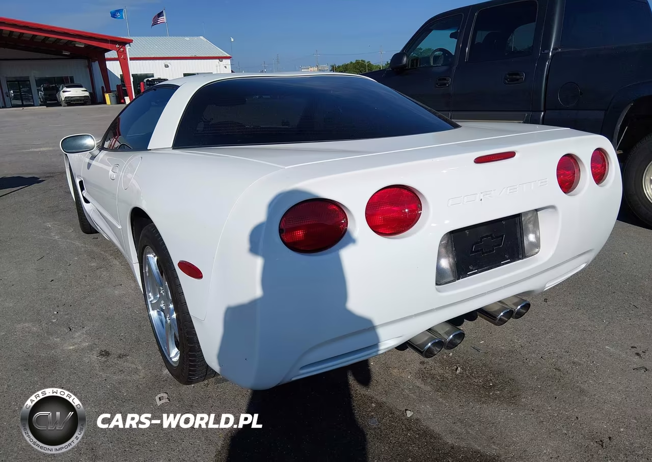 1999 Chevrolet Corvette VIN:1G1YY22G1X5126455 - 3