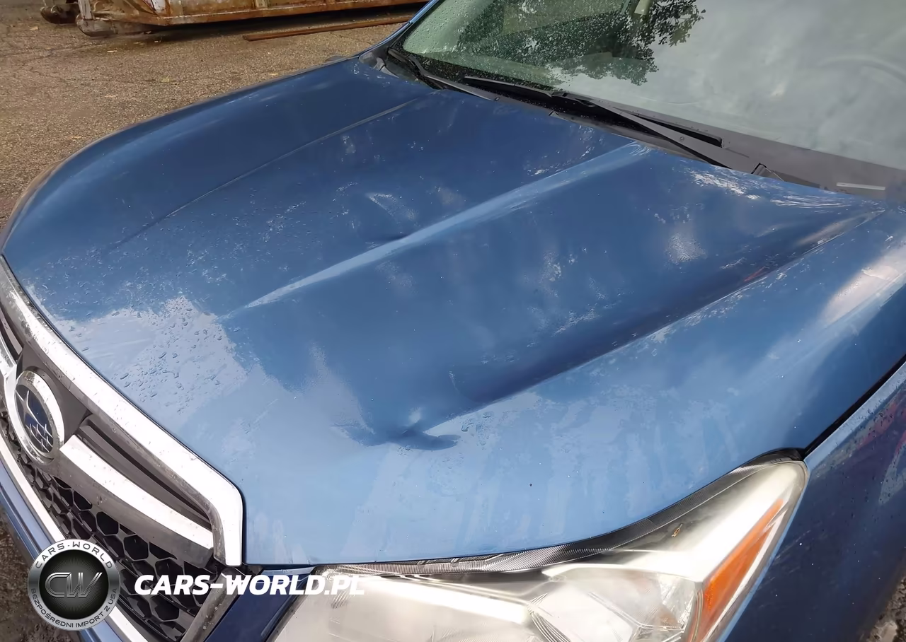 2015 Subaru Forester 2.5I Premium VIN:JF2SJADC1FH519280 - 17