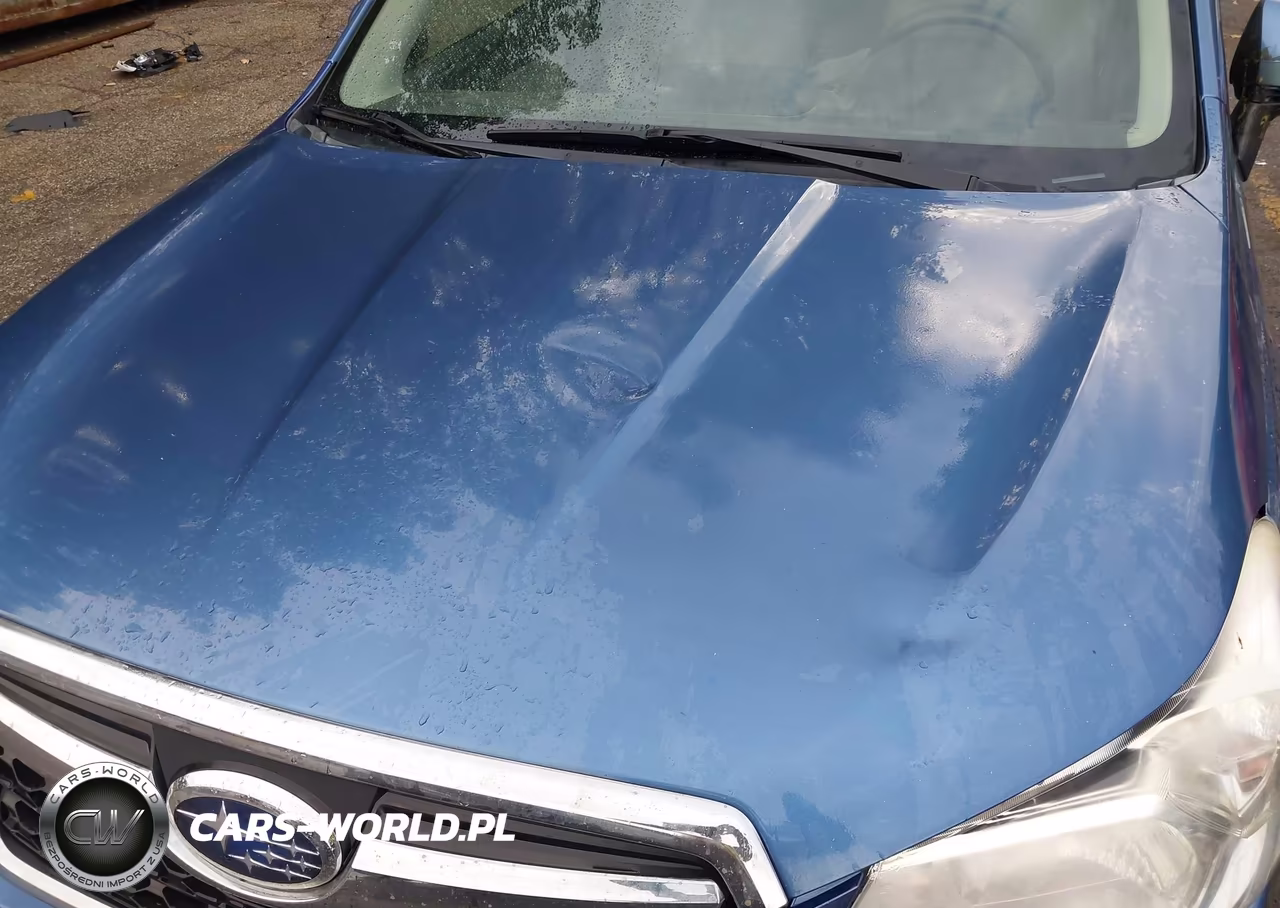 2015 Subaru Forester 2.5I Premium VIN:JF2SJADC1FH519280 - 18