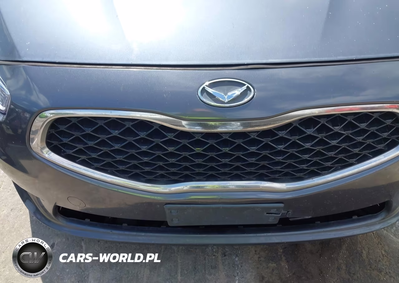 2015 Kia Cadenza Premium VIN:KNALN4D77F5196220 - 6